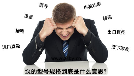 泵的型號規(guī)格到底是什么意思？